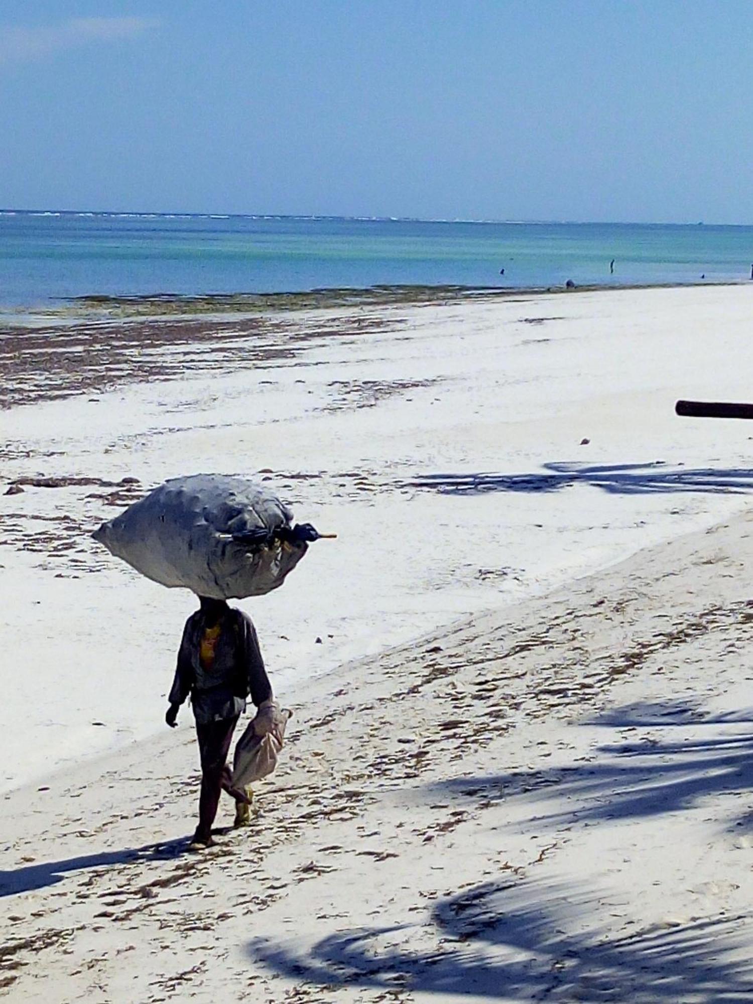 Aqua Resort Diani Beach Ngoại thất bức ảnh